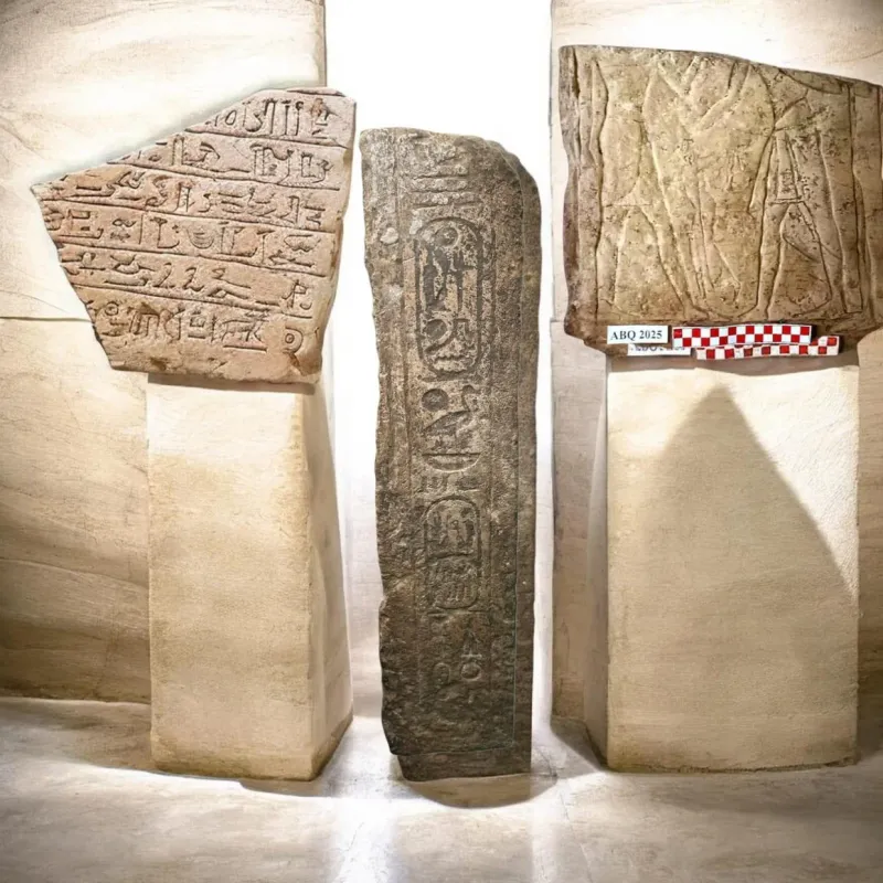 Three inscribed stone fragments displayed on plinths: a limestone piece with hieratic text, a dark stone block carved with royal cartouches, and a carved relief fragment beside a scale bar marked ABQ 2025